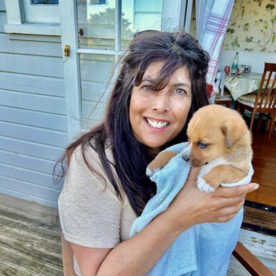 Fostering with SPCA: “You will never look back”