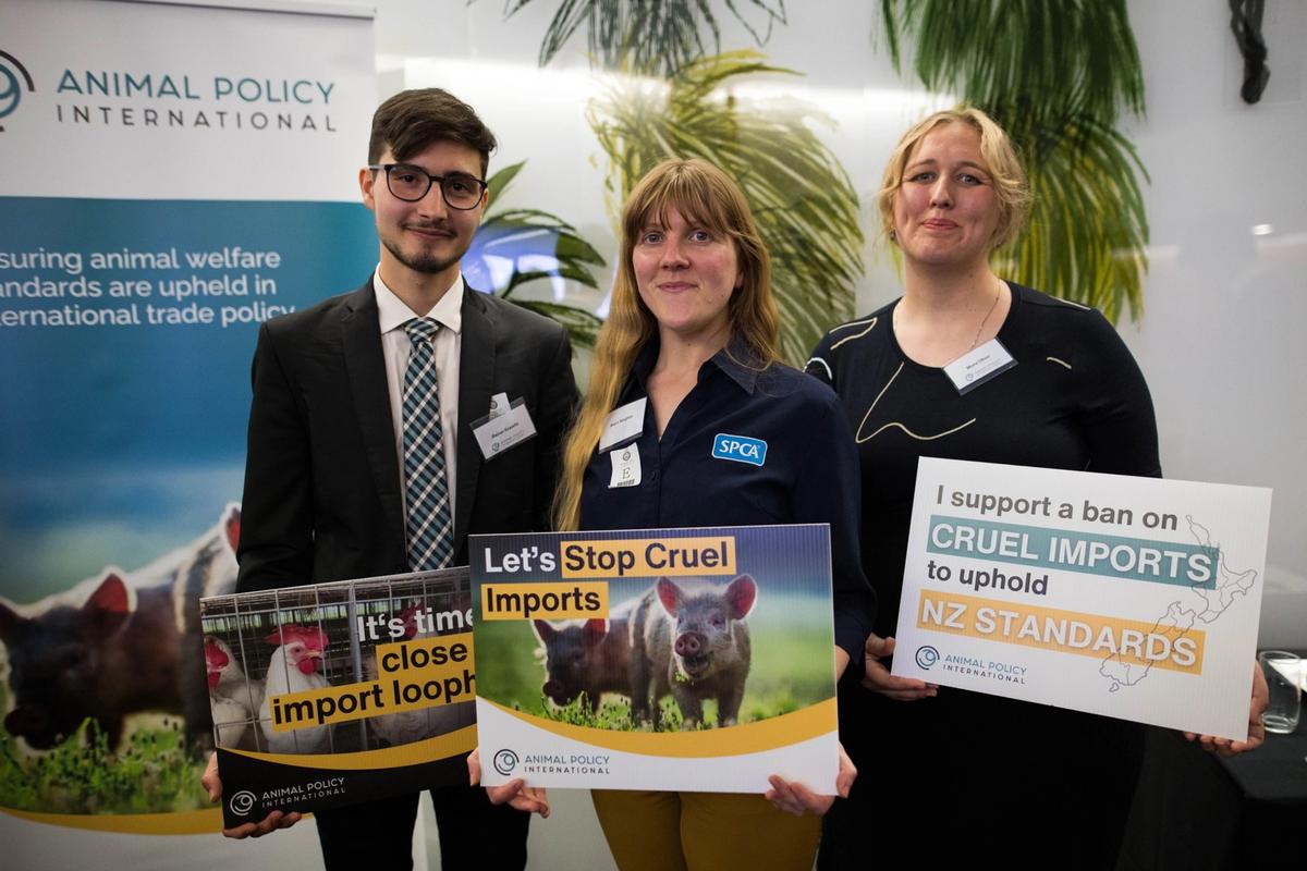 SPCA supports petition to require imported animal products to meet NZ animal welfare standards