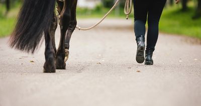 SPCA supports horse rider safety