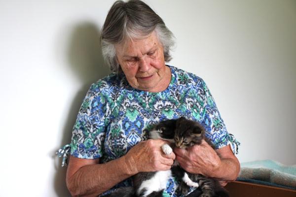 SPCA fosterer holding kittens