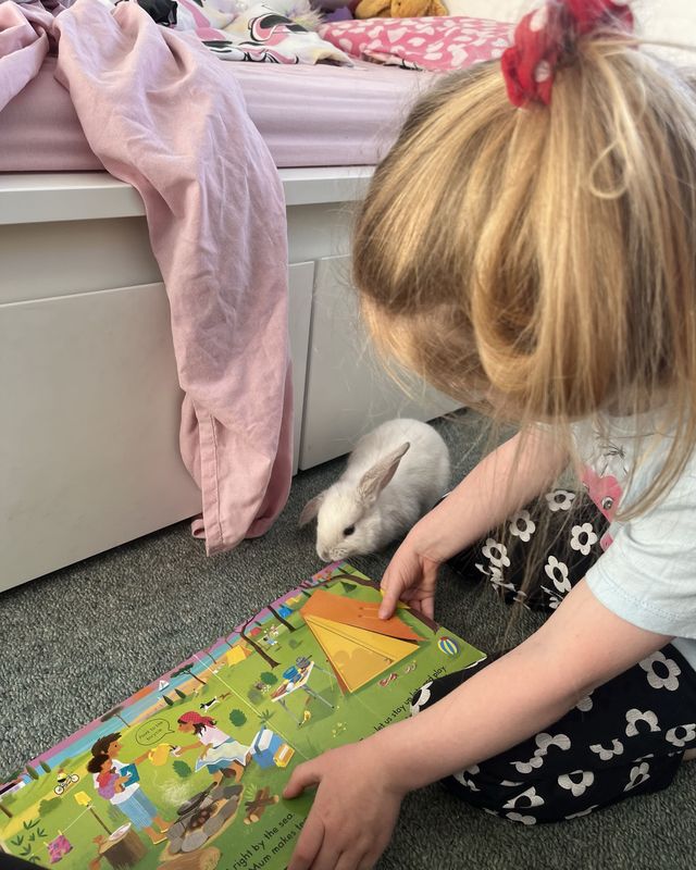 Image 1: A small white rabbit touches noses with an adult man. Image 2: A small white rabbit sits next to a young blonde girl, watching her play.
