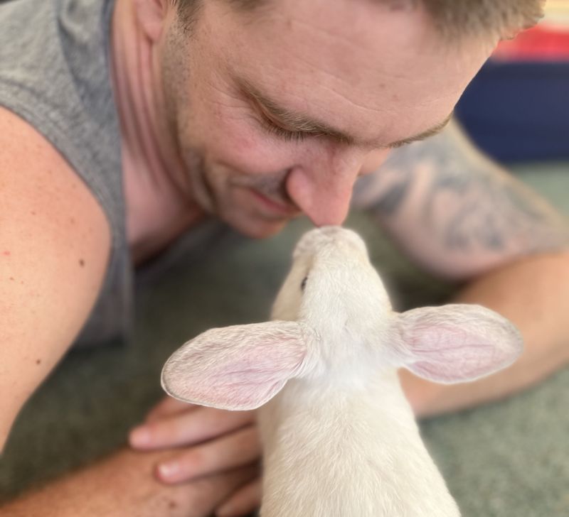 Image 1: A small white rabbit touches noses with an adult man. Image 2: A small white rabbit sits next to a young blonde girl, watching her play.