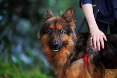 An incredible recovery: Peyton’s journey back to health