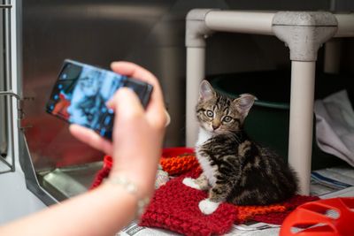 SPCA has joined TikTok!