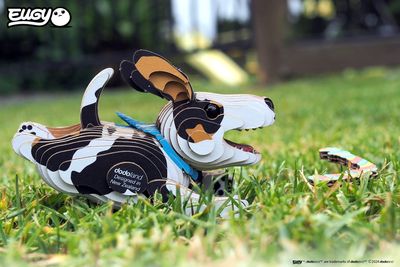 EUGY by Dodoland continues support for SPCA