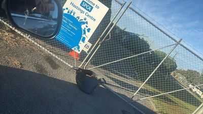 From Rescued to Rehomed: Abandoned in a washing basket 