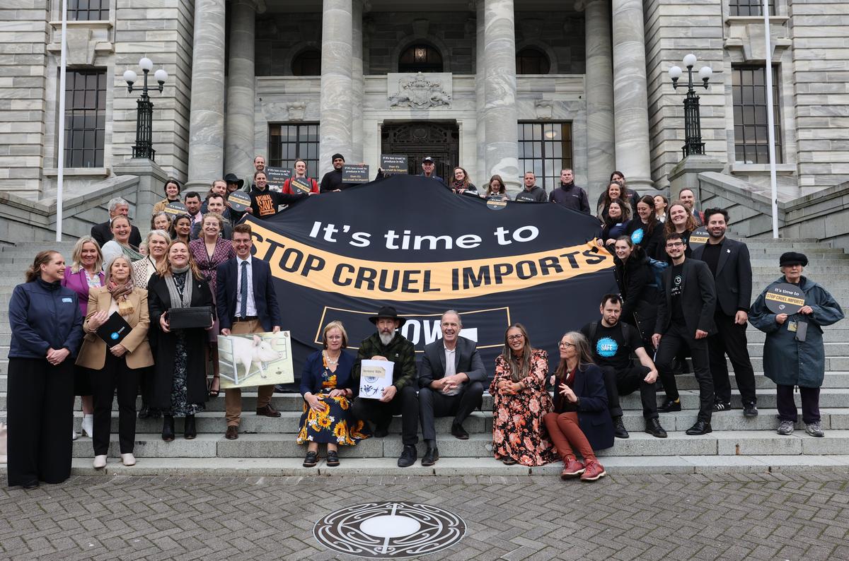 SPCA supports petition handover at Parliament calling for an end to cruel imports