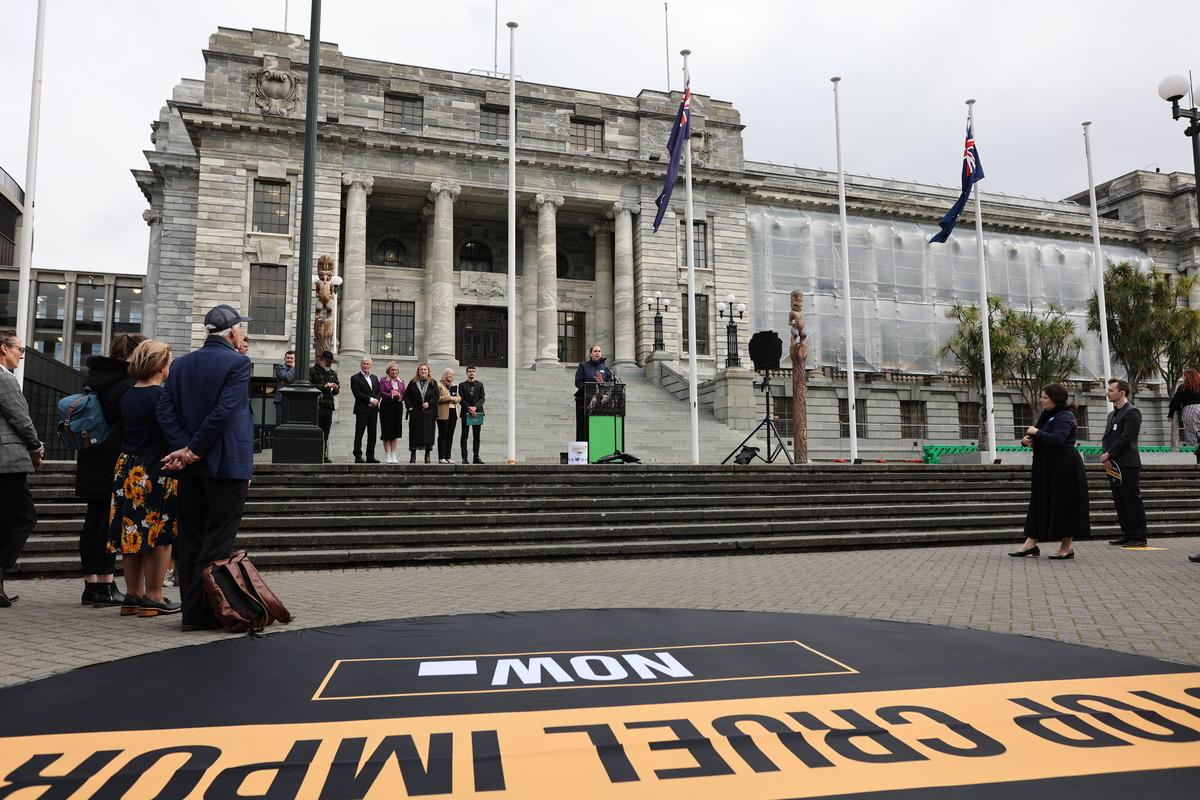 Dr. Arnja Dale and other supporters of Ferrere's petition gathered outside Parliament on 6 May.