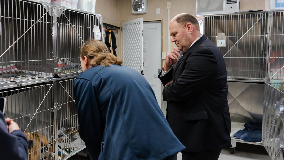 Two people in a vet hospital room, bending down to look at a dog with one eye.