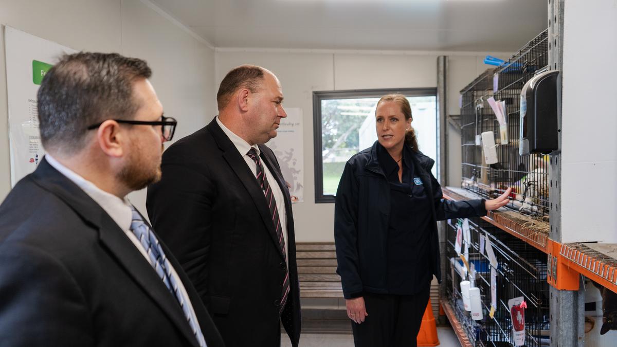 Three people stand around a rabbit's cage, Dr. Arnja Dale pointing at the cage.