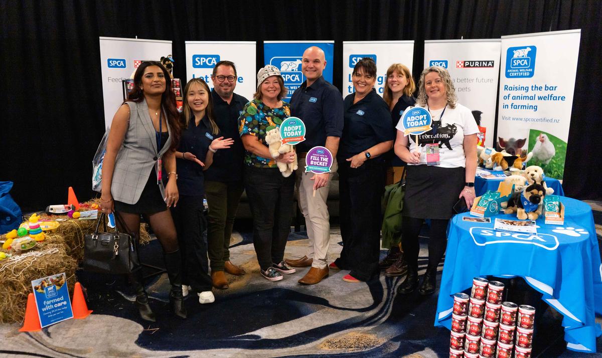 SPCA's adoptable animals to be showcased at major influencer event 