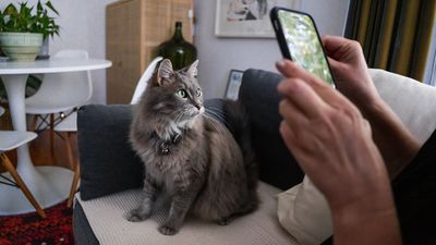 Will your pet be the star of this year's Pets of the Year calendar?