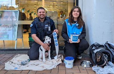 New Zealanders help Fill the Bucket for vulnerable animals