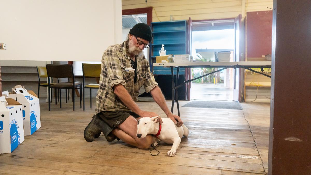 A man in a black beanie and plaid shirt kneels on the ground, petting a white bull terrier.
