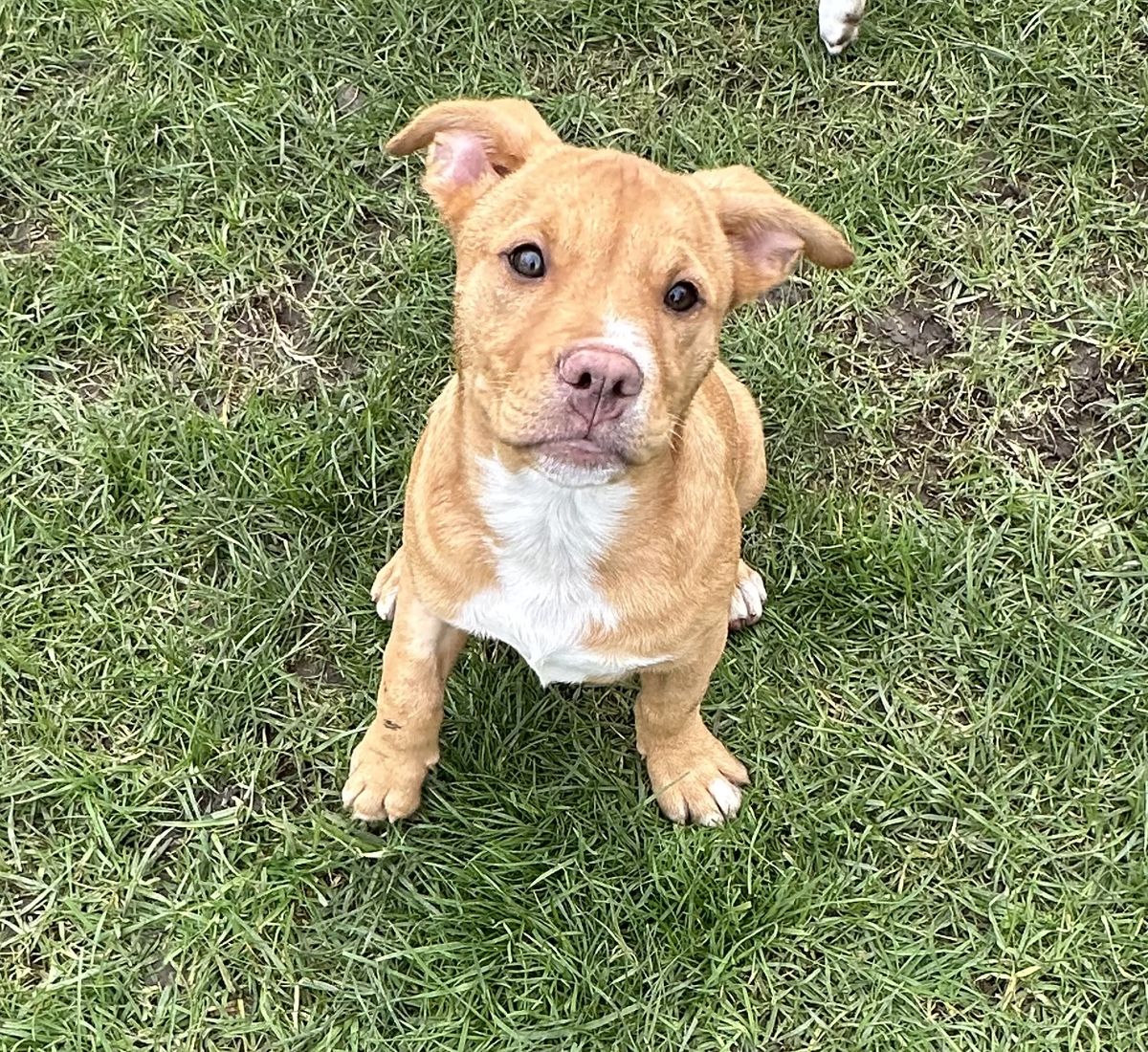 Gallery image: Jaycee