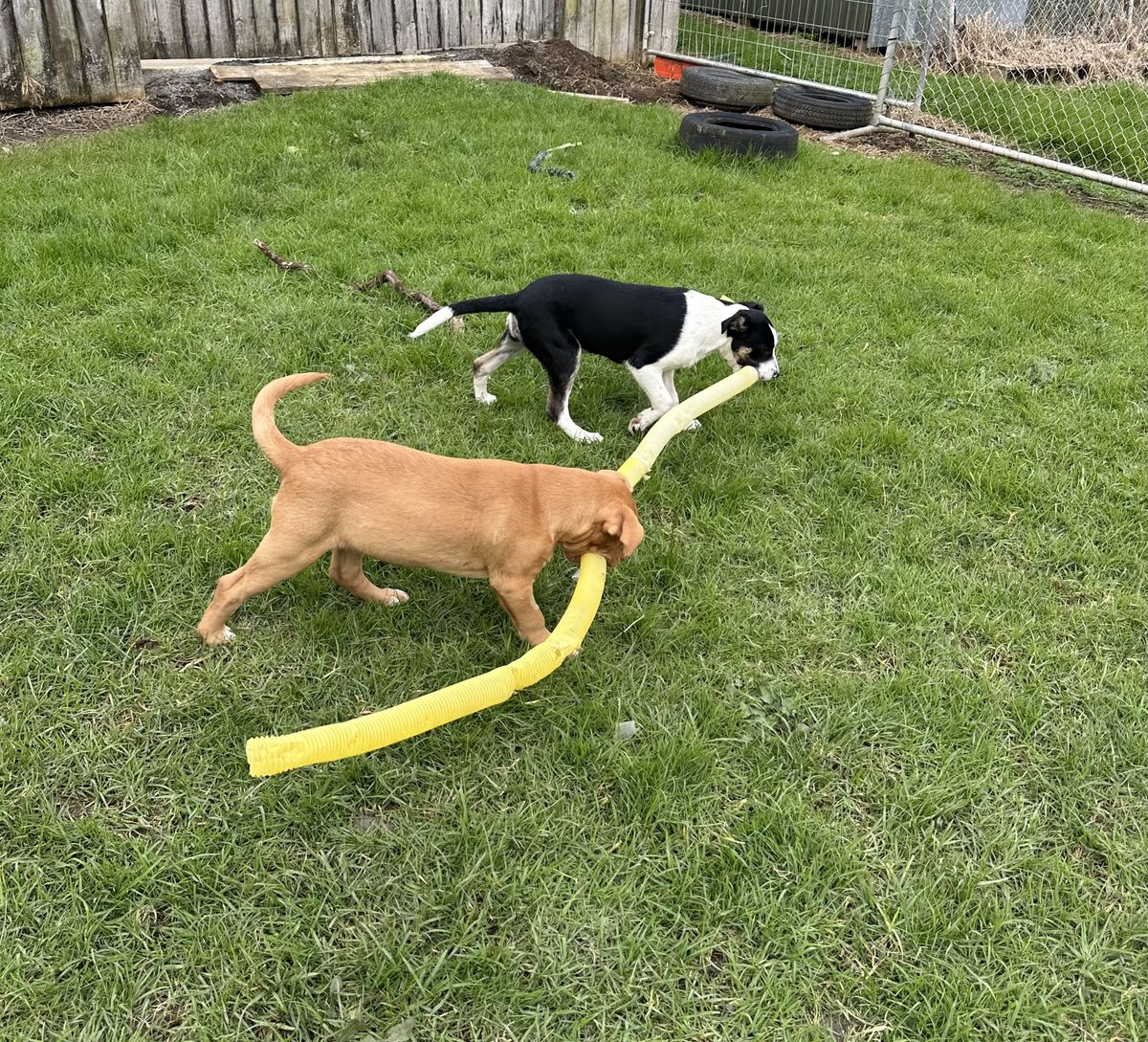 Gallery image: Jaycee