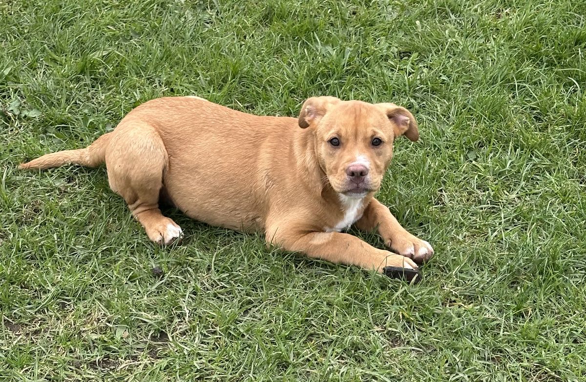 Gallery image: Jaycee