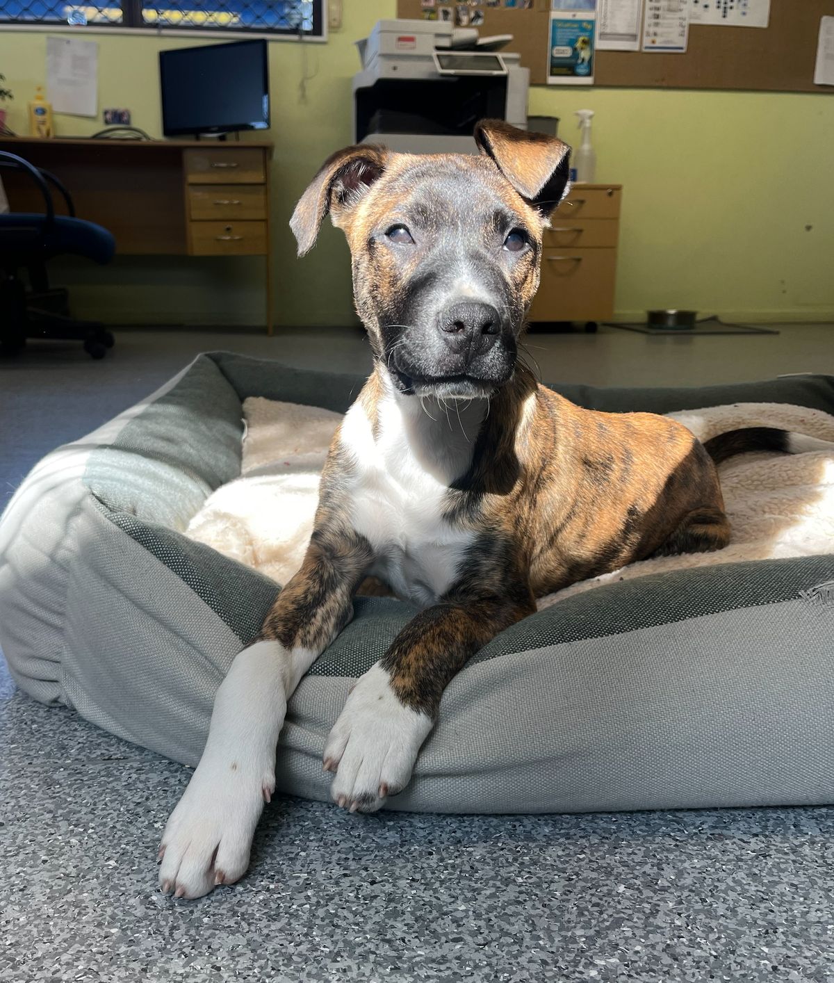 Gallery image: Tim Tam