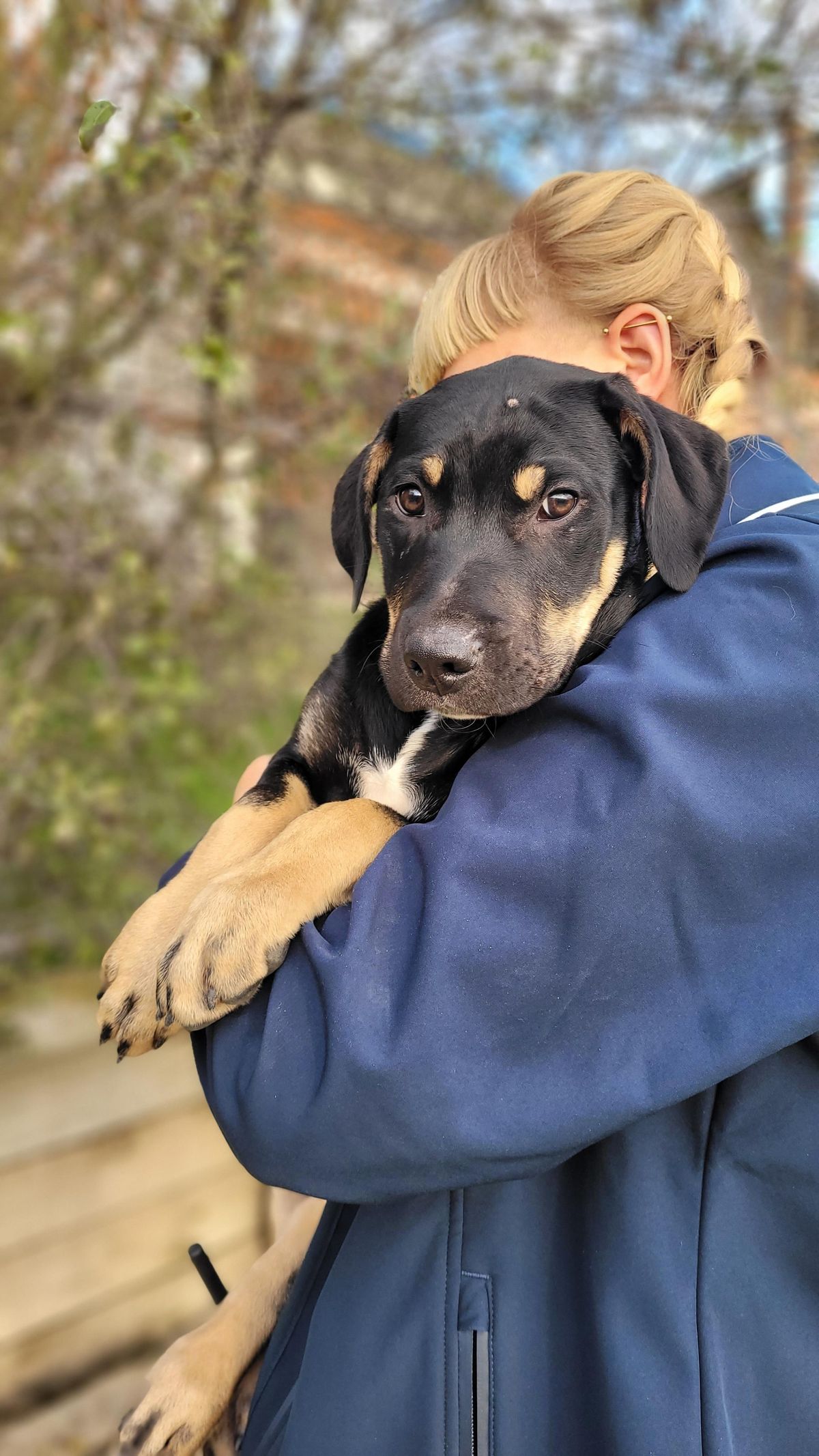 Gallery image: Lincoln