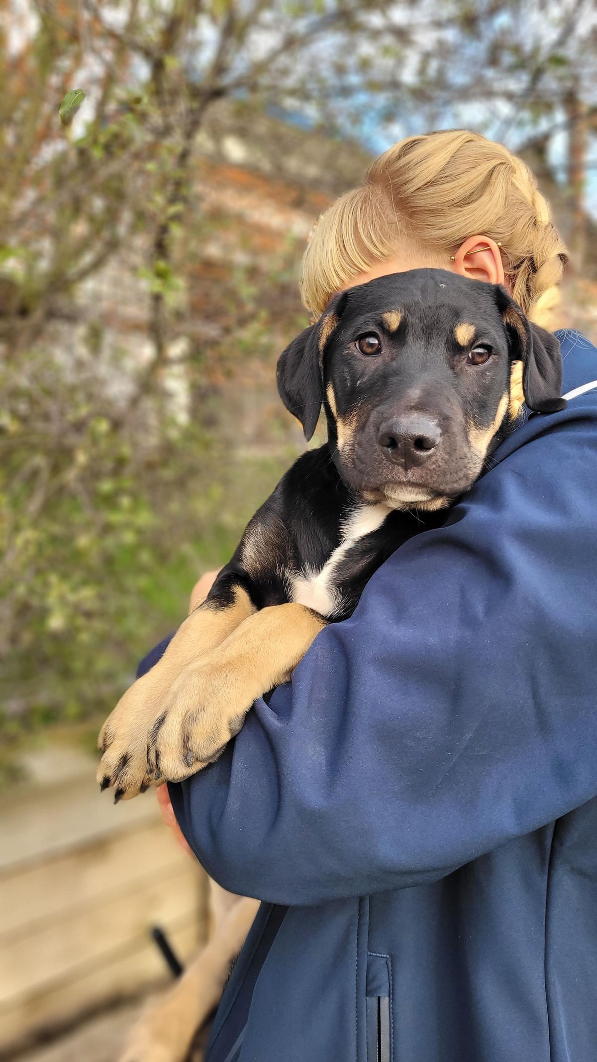 Gallery image: Lincoln