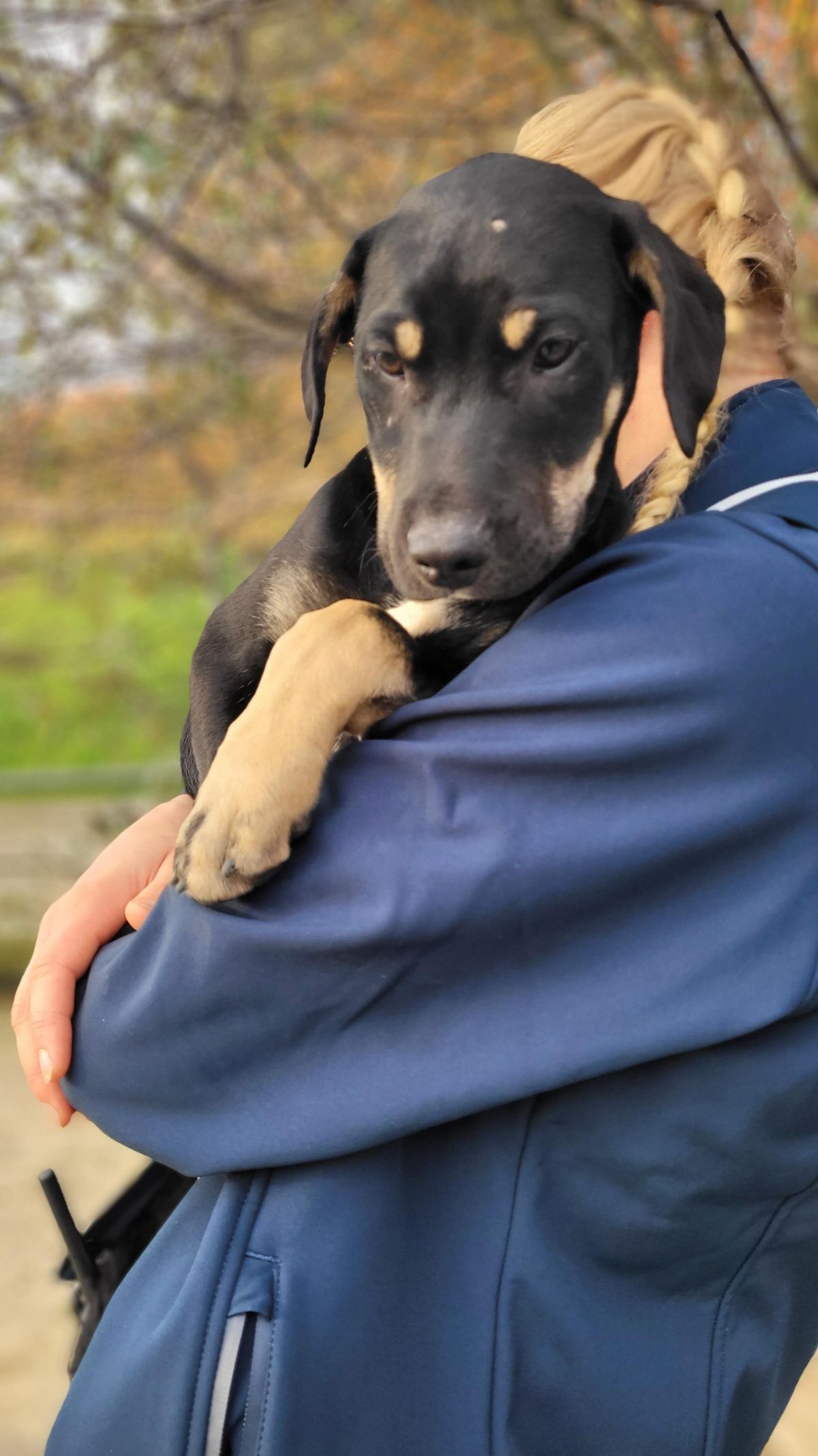 Gallery image: Lincoln