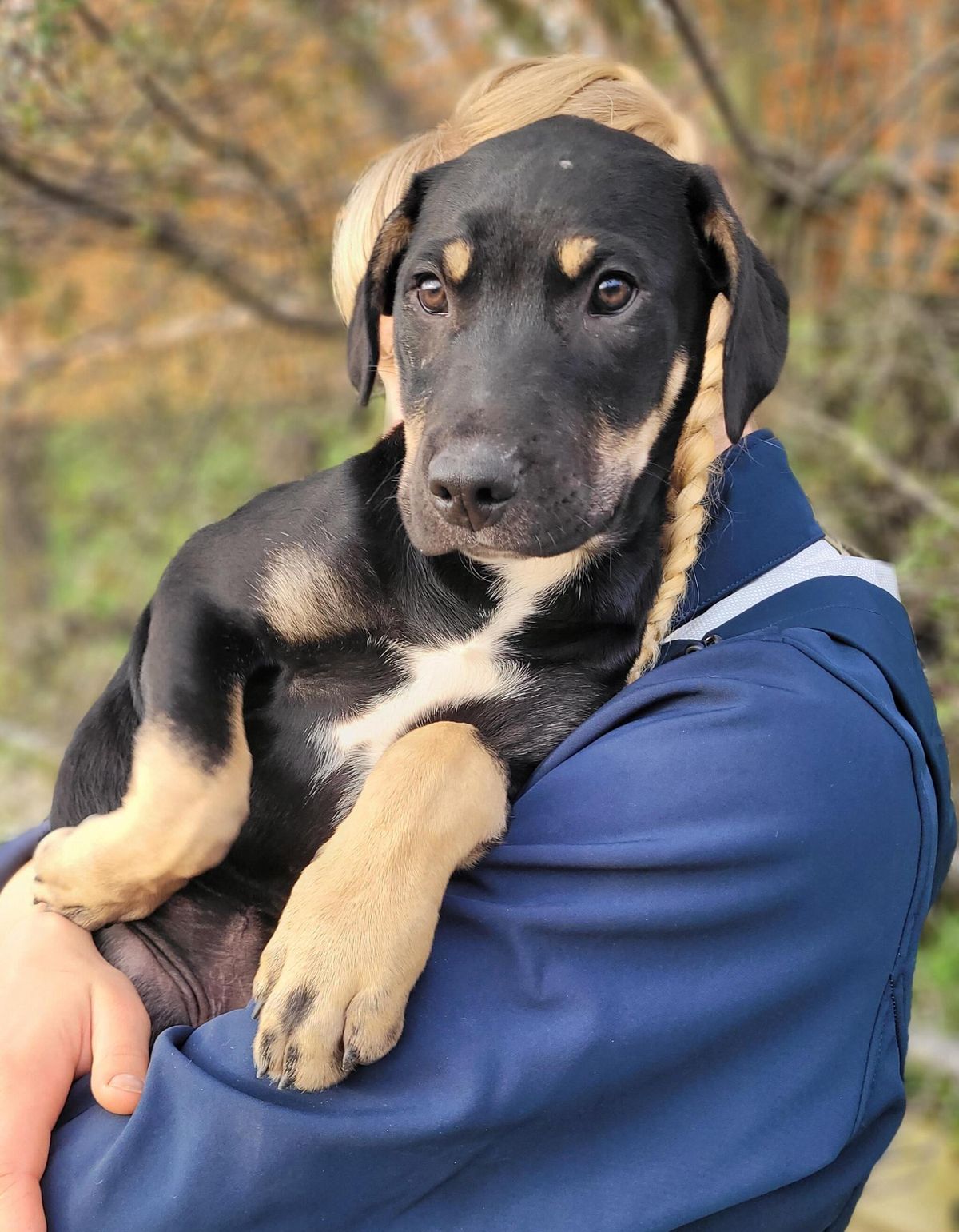 Gallery image: Lincoln