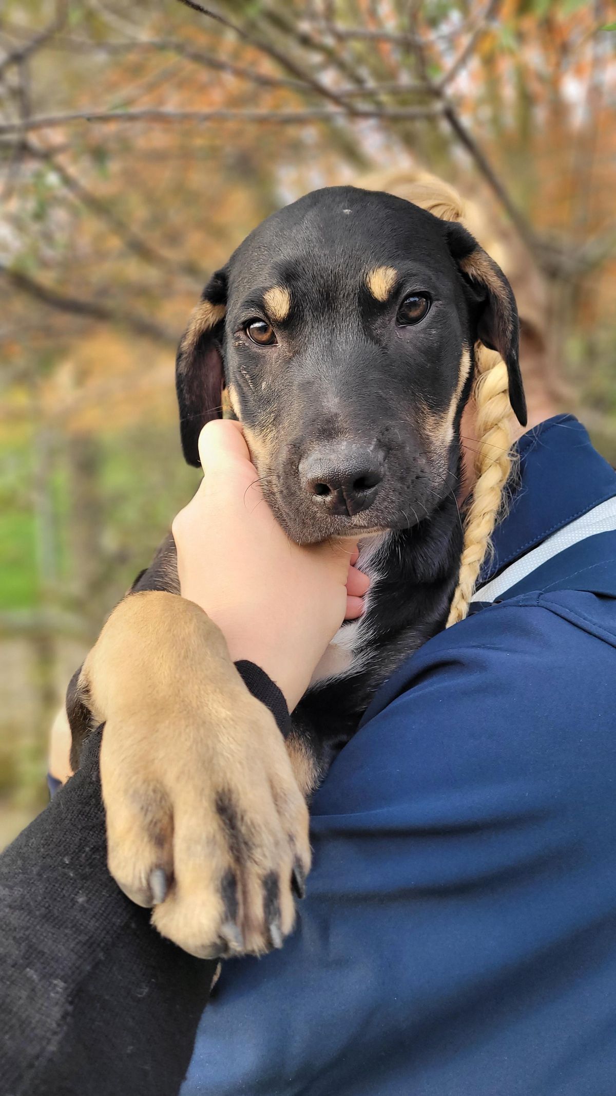 Gallery image: Lincoln