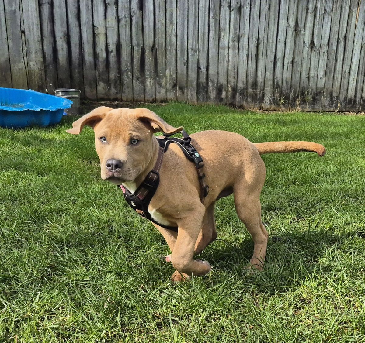 Gallery image: Jaycee