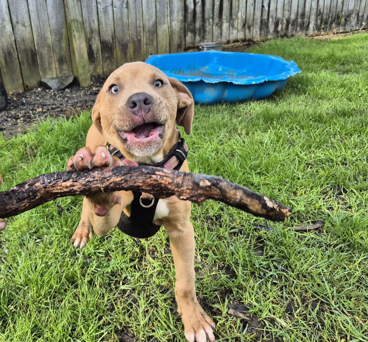 Gallery image: Jaycee