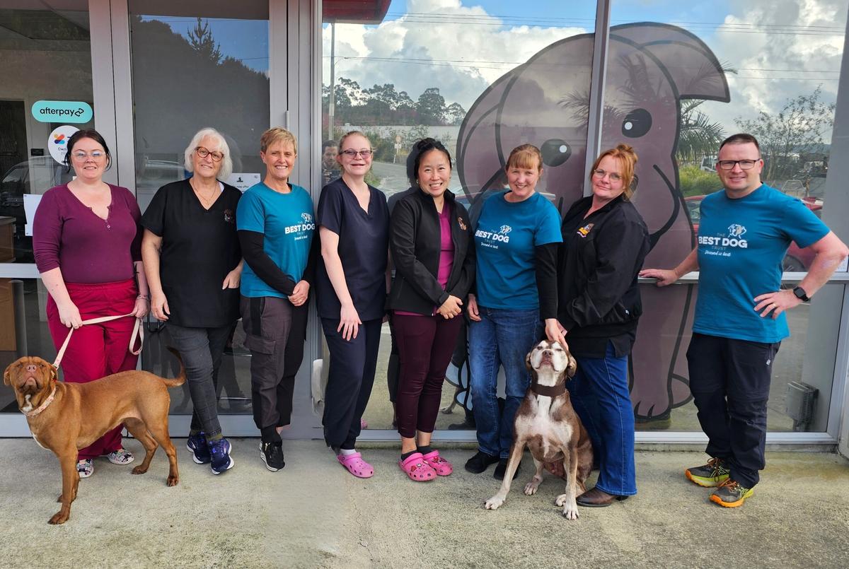 Further rescue groups to receive and distribute SPCA-funded desexing Outreach Vouchers