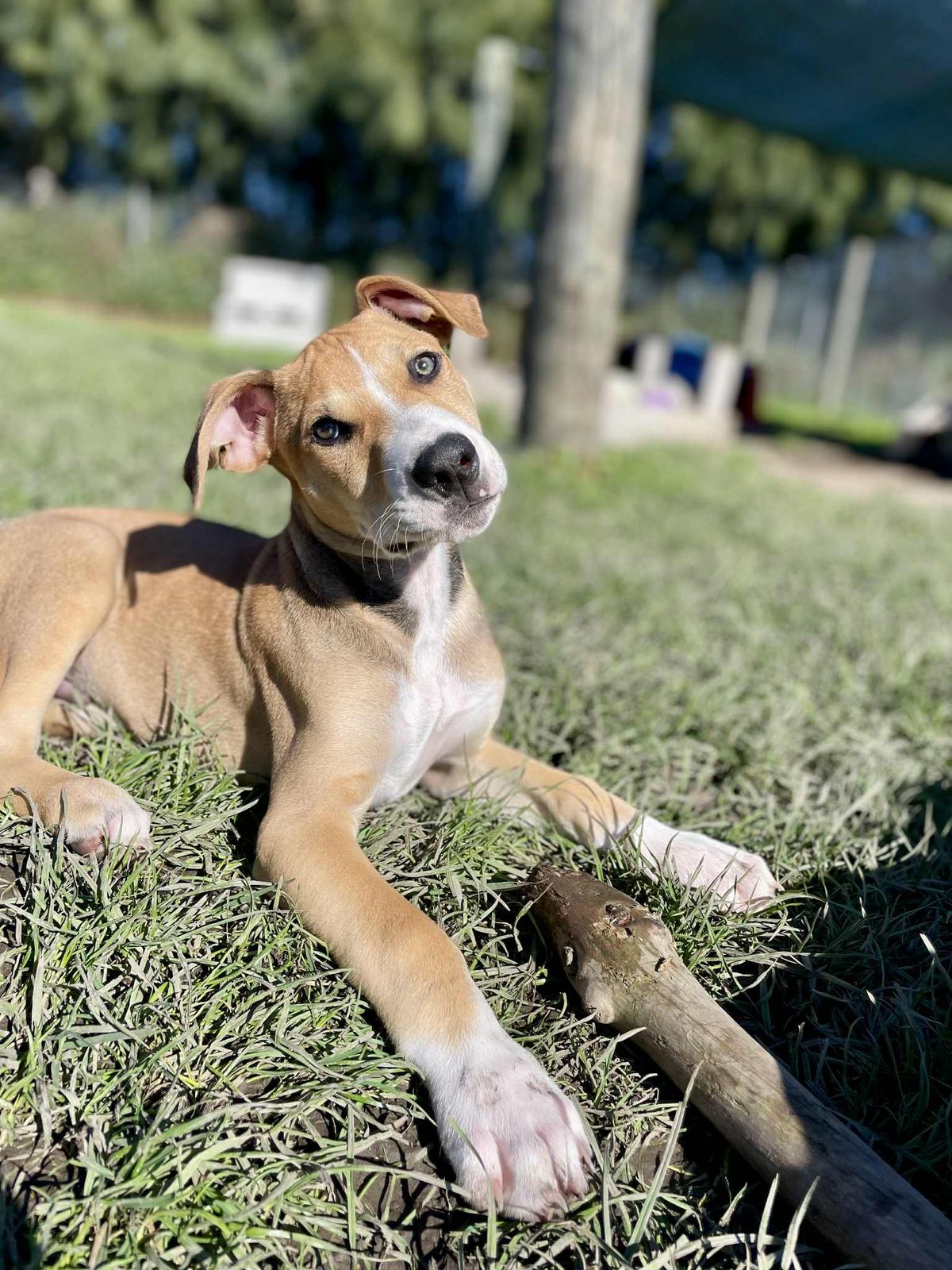 Gallery image: Lucky