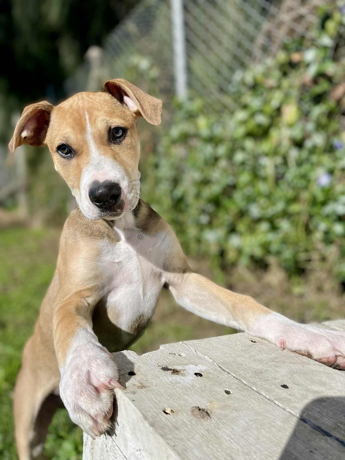 Gallery image: Lucky