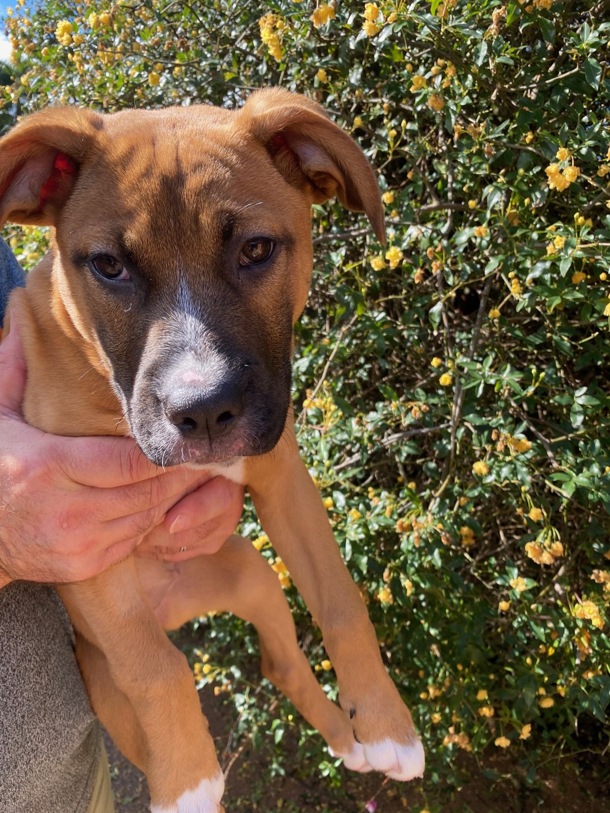 Gallery image: Truffle