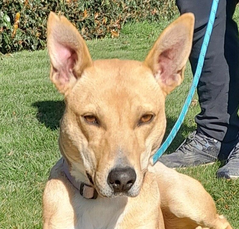 Gallery image: Maisie