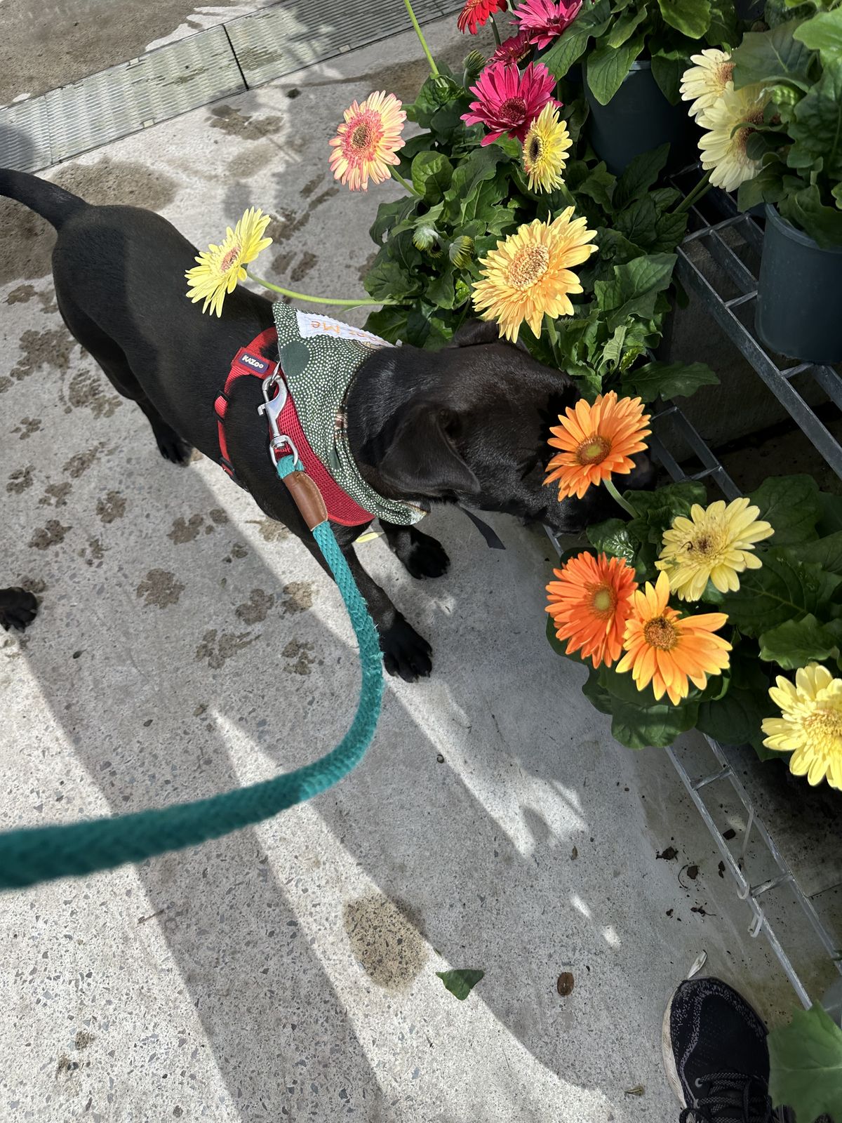 Gallery image: Carlos