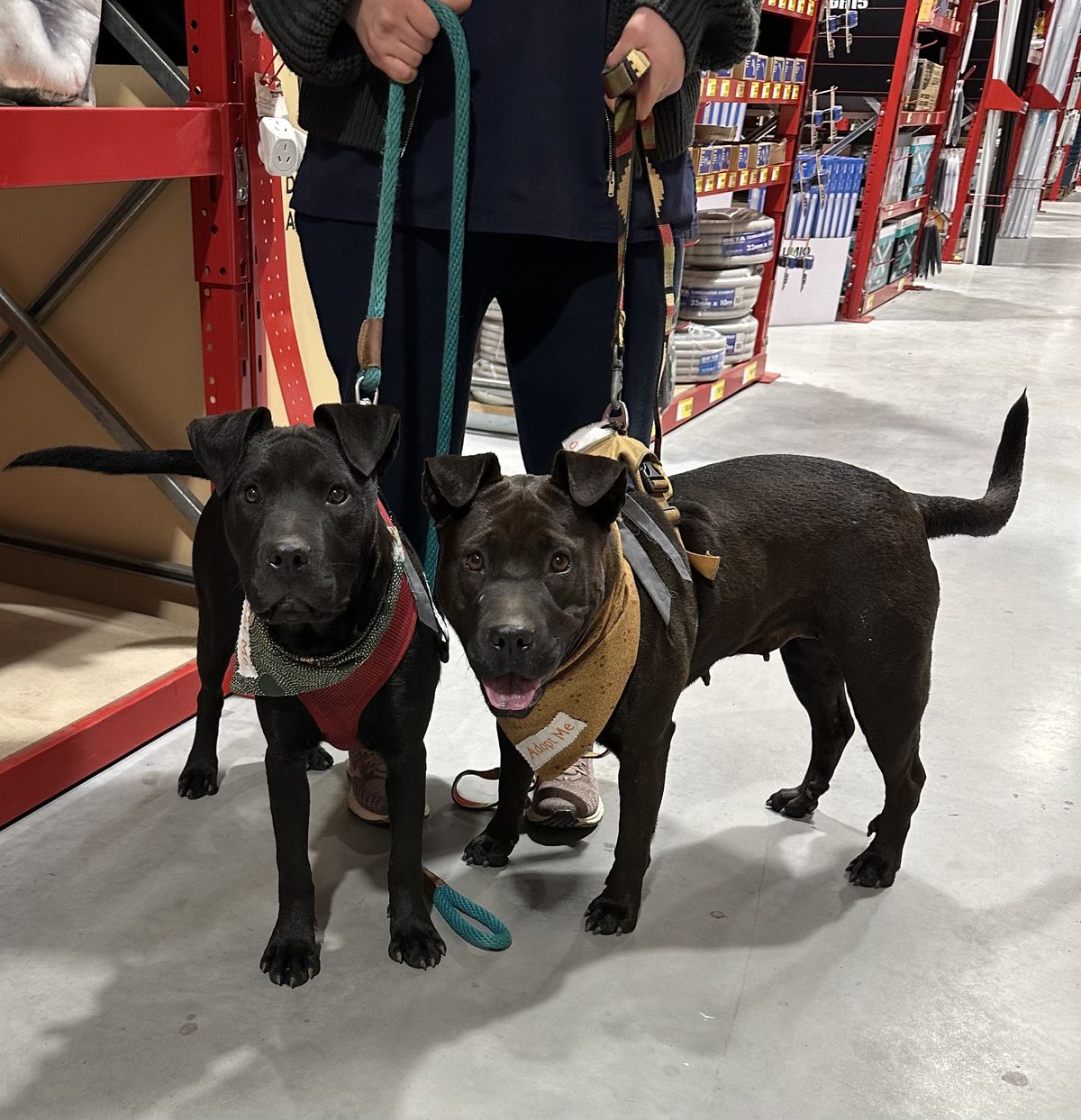 Gallery image: Carlos