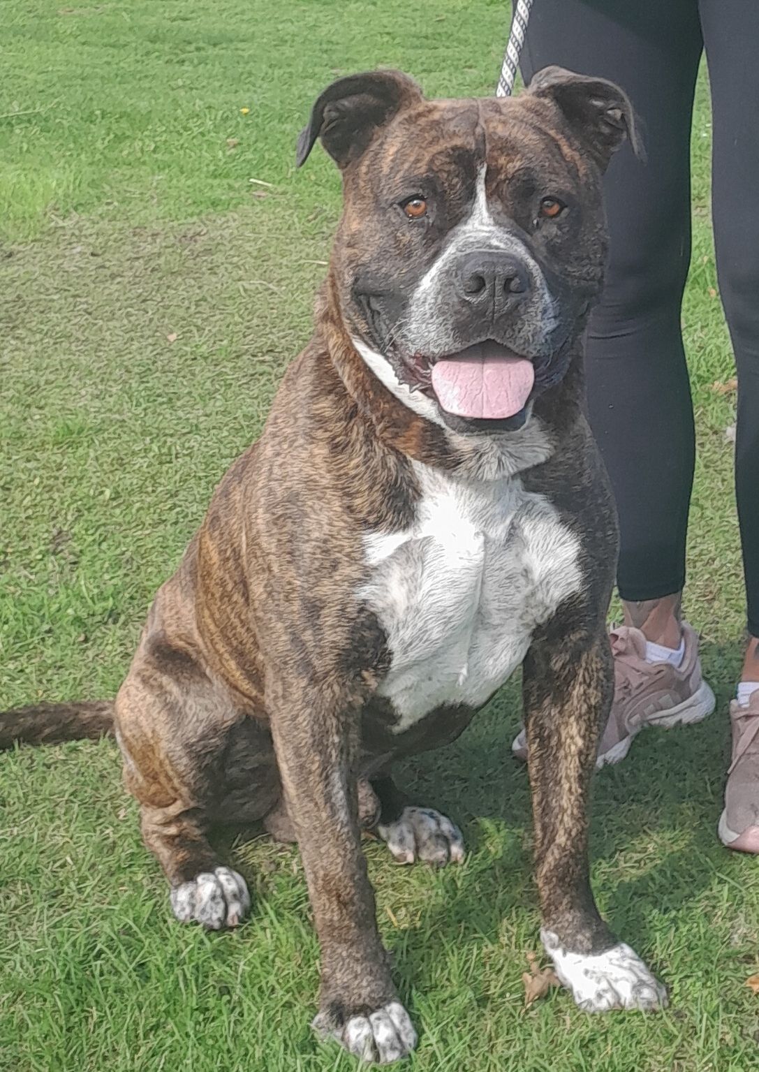 Gallery image: Arnie