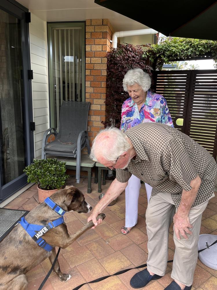 Two elderly people and a brown dog. The man shakes the dog's paw.