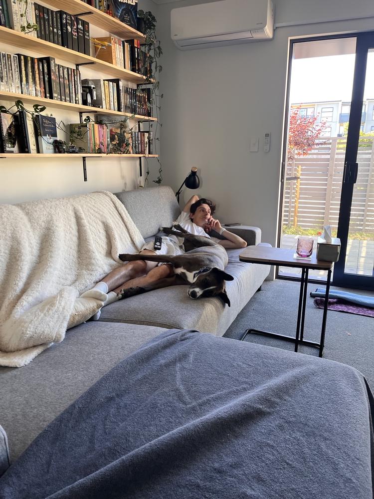 A brown and white dog lies on a couch with a man.