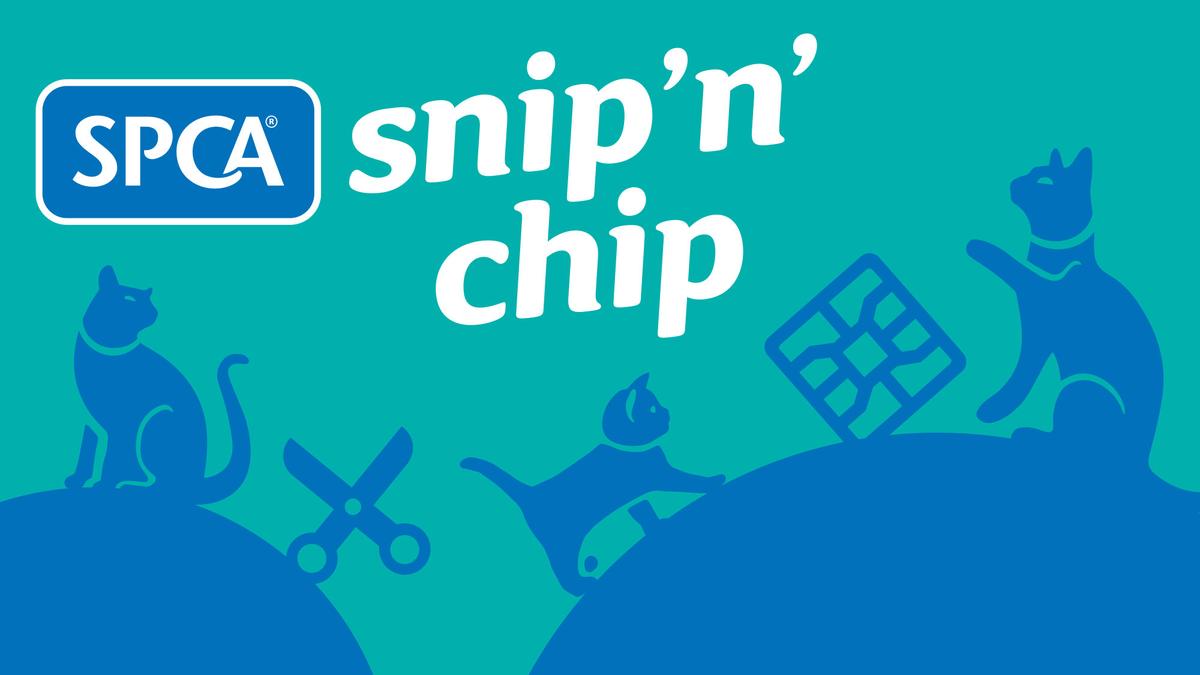 Snip 'n' Chip launches in Central Hawkes Bay