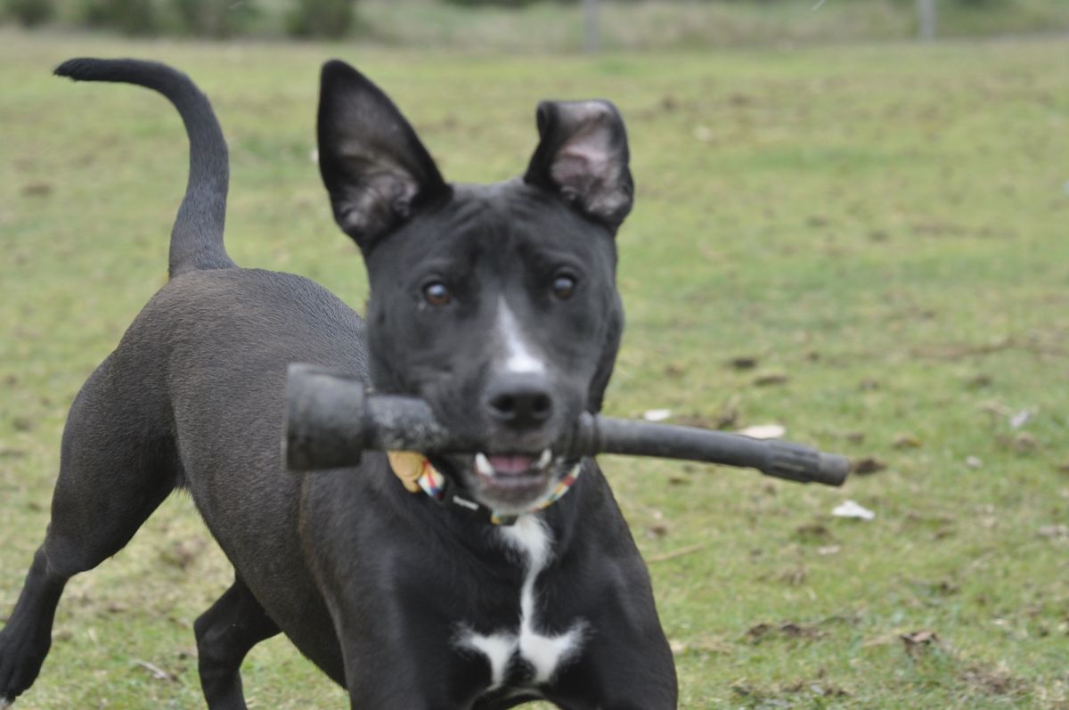 Gallery image: Flynn