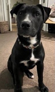 Gallery image: Flynn