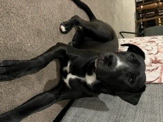 Gallery image: Flynn