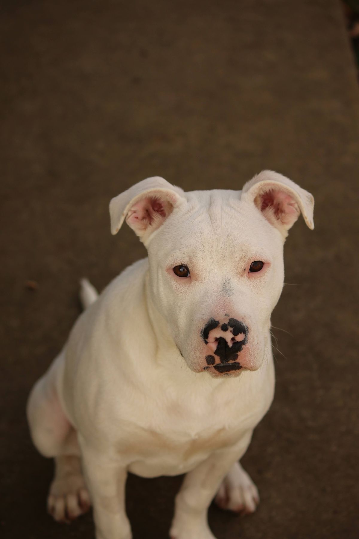 Gallery image: Maggie