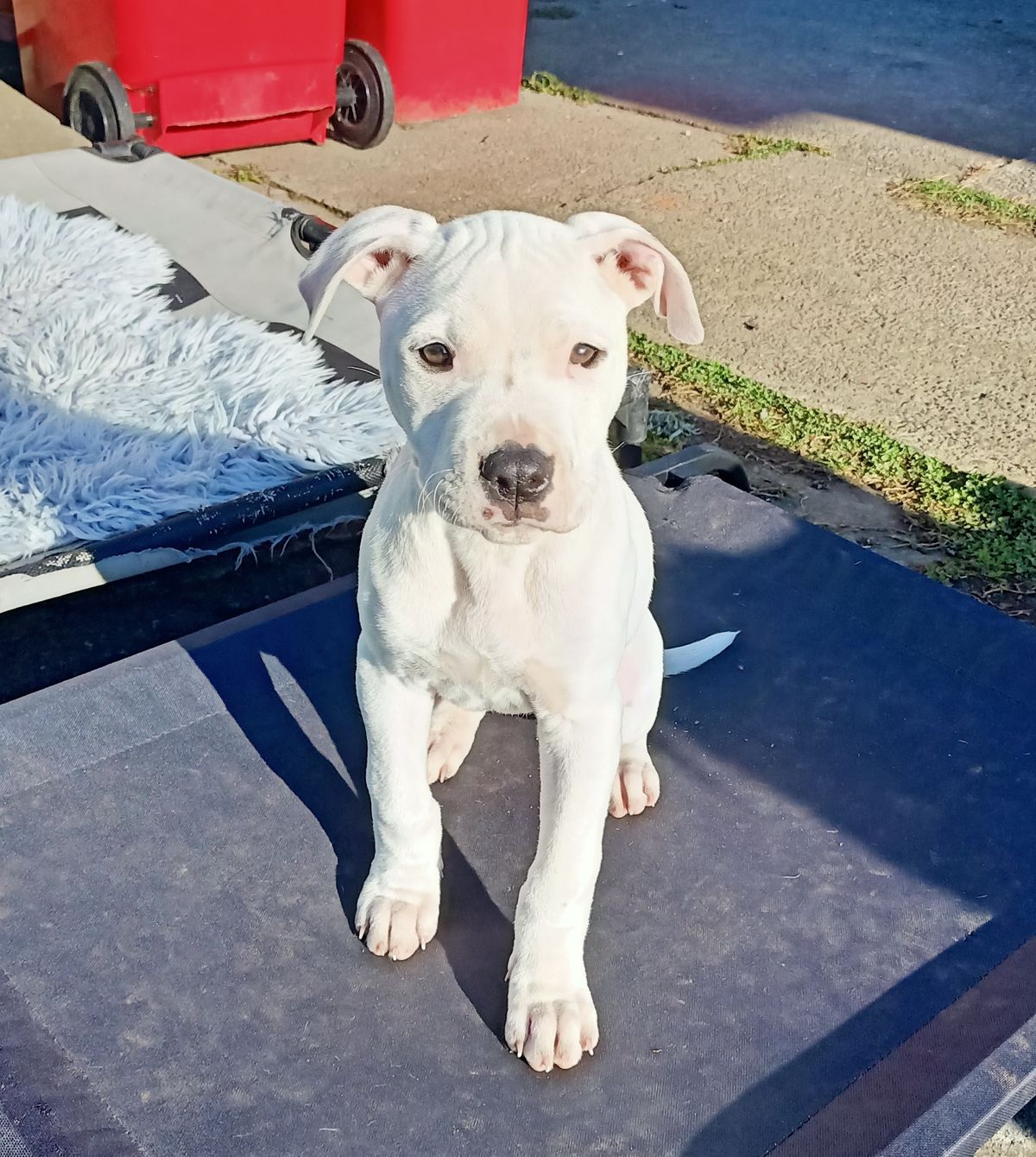 Gallery image: Lottie