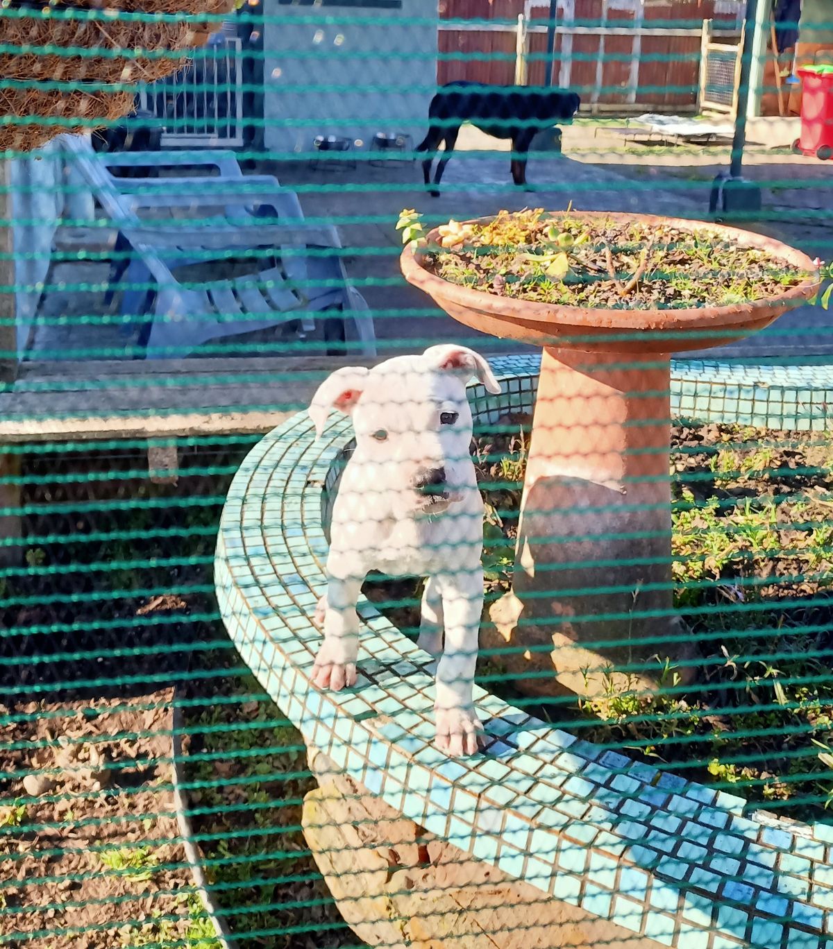 Gallery image: Lottie