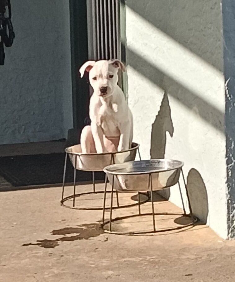 Gallery image: Lottie