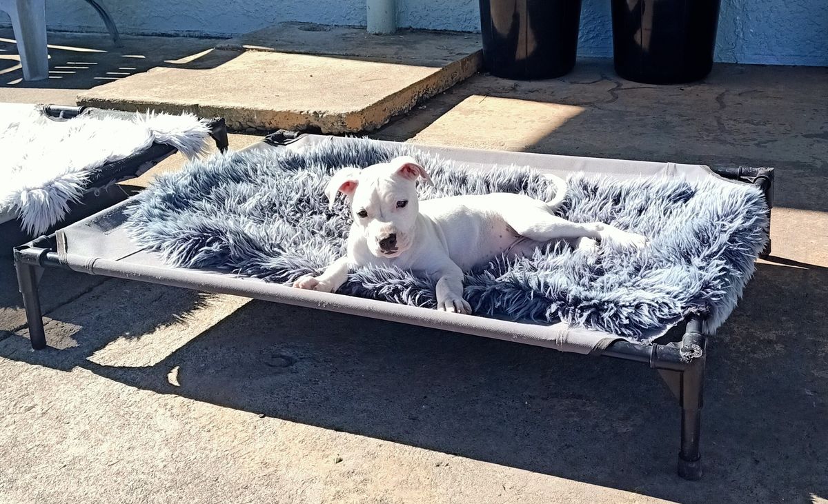 Gallery image: Lottie