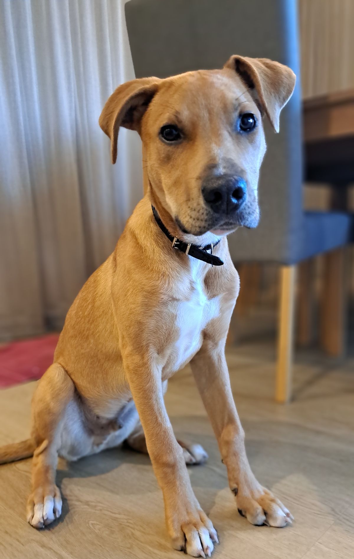 Gallery image: Zephyr