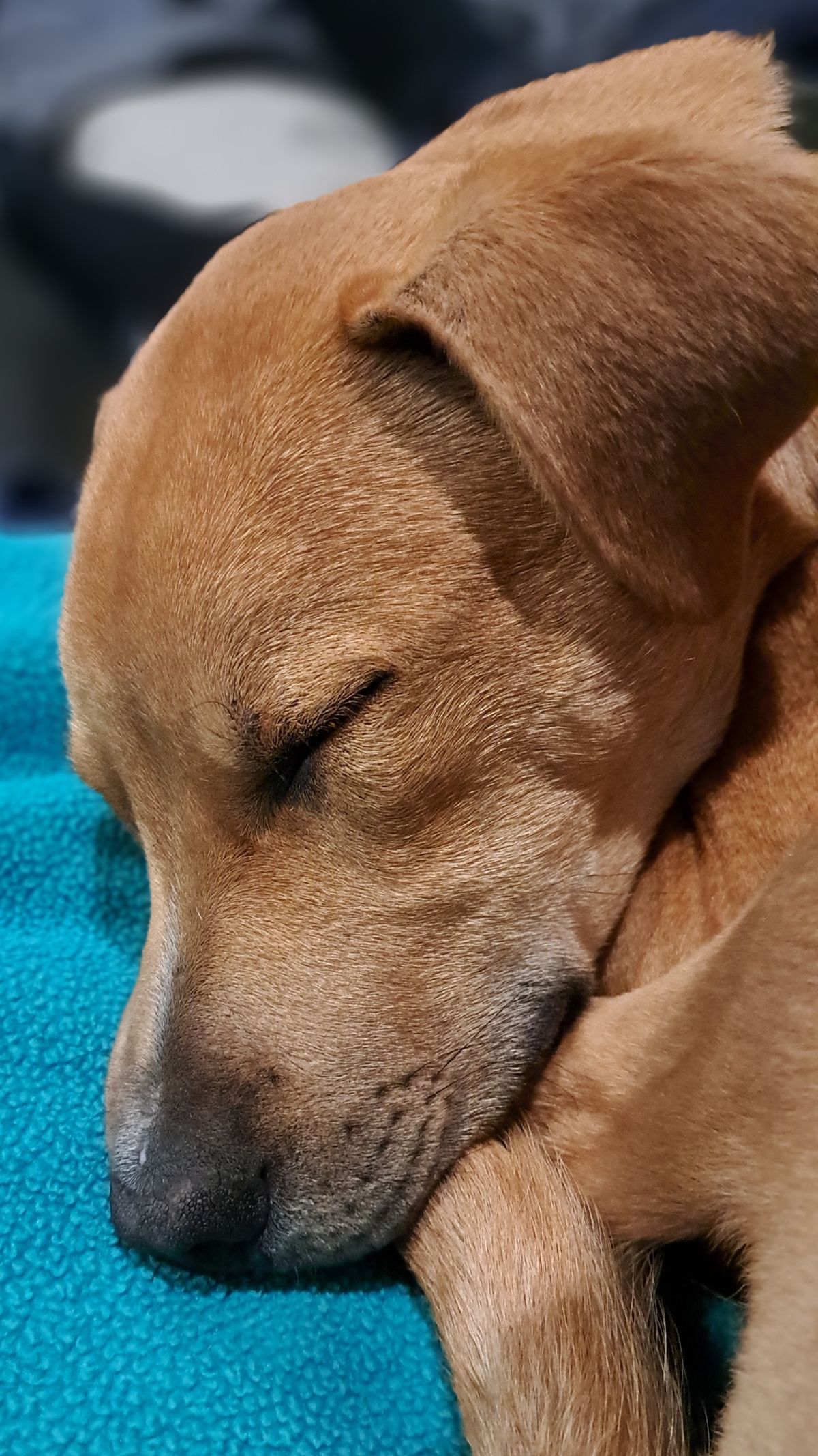 Gallery image: Zephyr